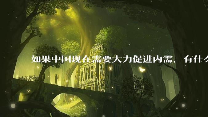 如果中国现在需要大力促进内需，有什么切实可行有效的方法？