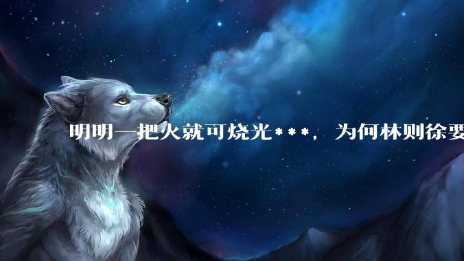 明明一把火就可烧光***，为何林则徐要劳神费力用海水浸泡？
