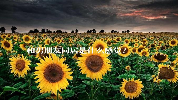 和男朋友同居是什么感觉？
